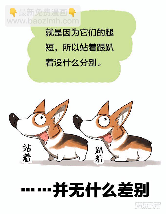 暴风雨的预感-第4话