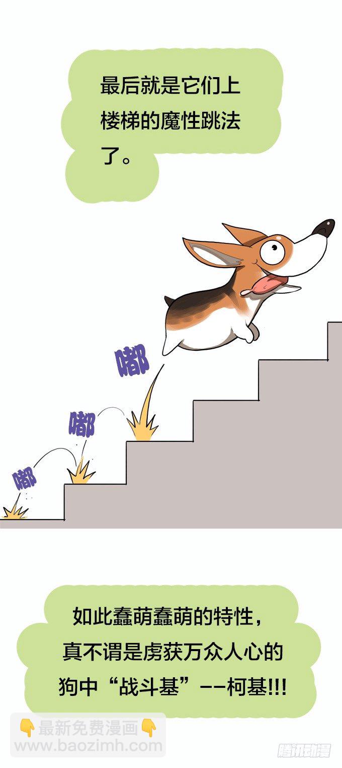 暴风雨的预感-第4话