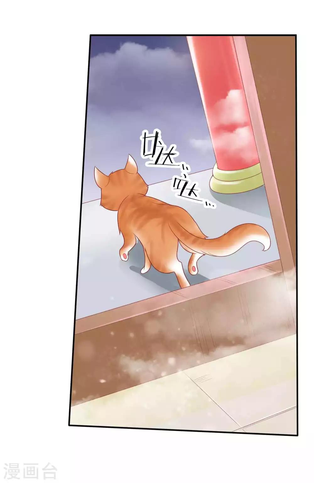 第120话 北洱喵喵有危险-第130话