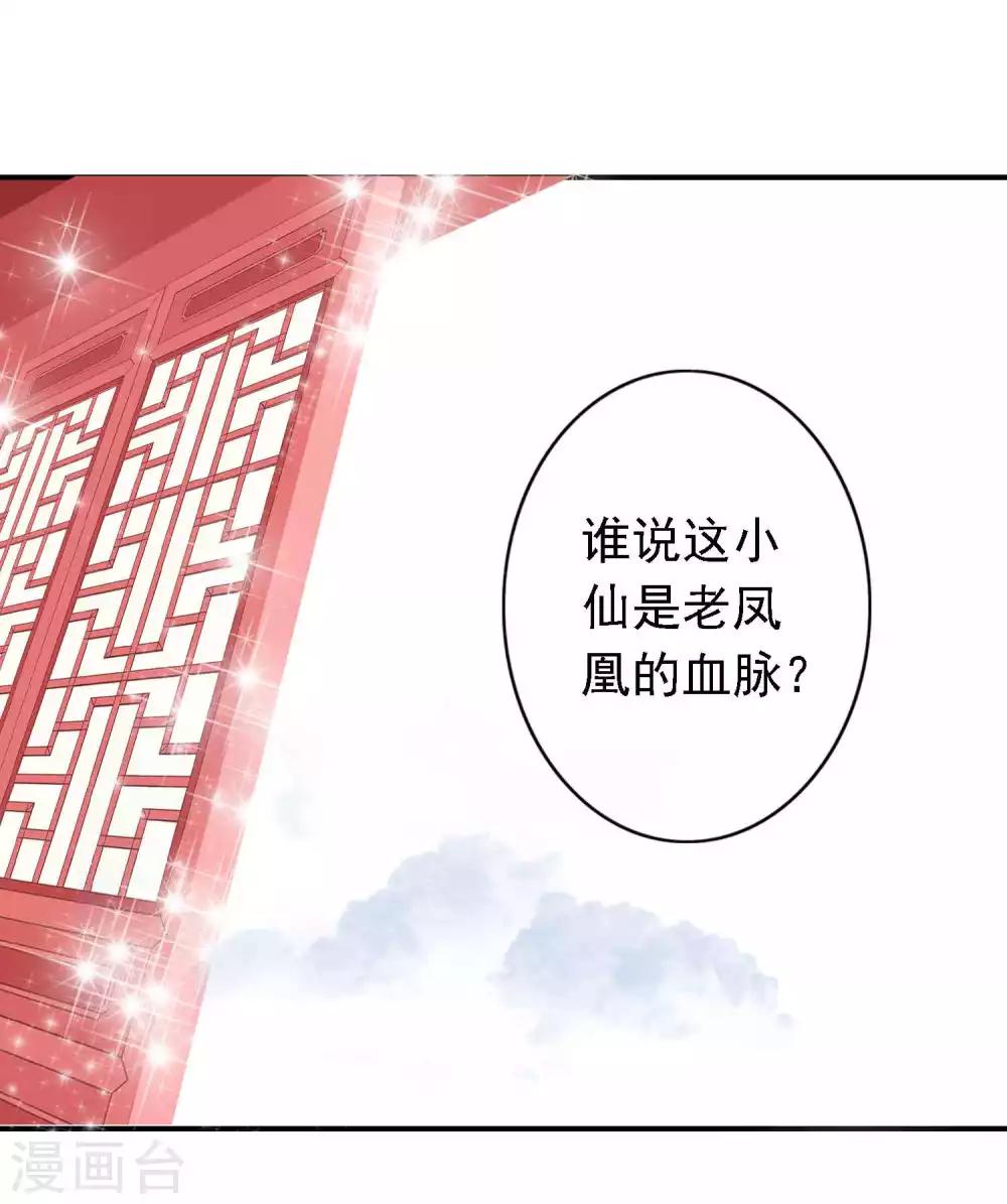 第27话 我有一种蛋蛋的忧伤-第30话