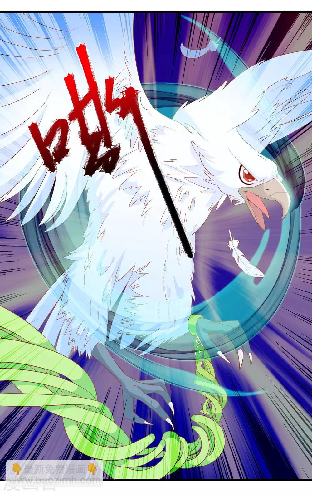 第6话 本宝宝可是凤凰-第8话