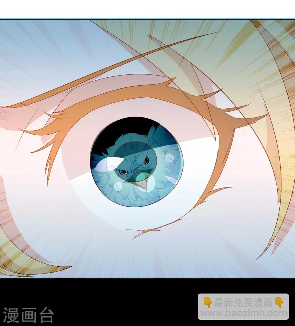 第6话 本宝宝可是凤凰-第8话