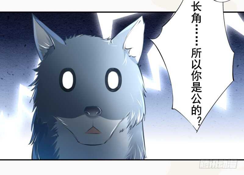 051 得了便宜也不卖乖-第52话