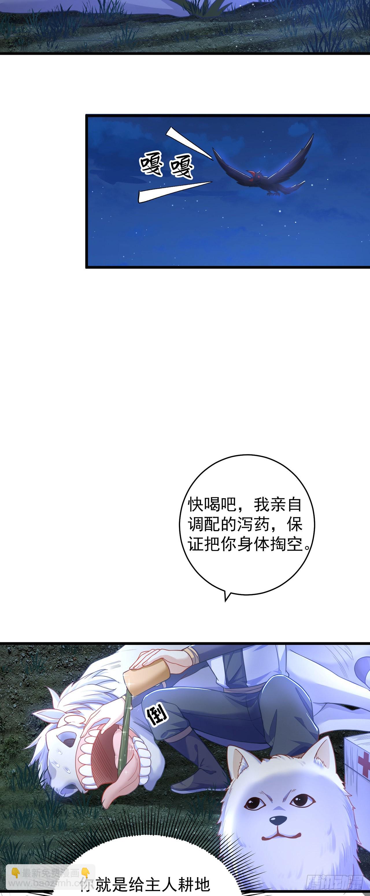 第10话 夫唱妇随-第12话