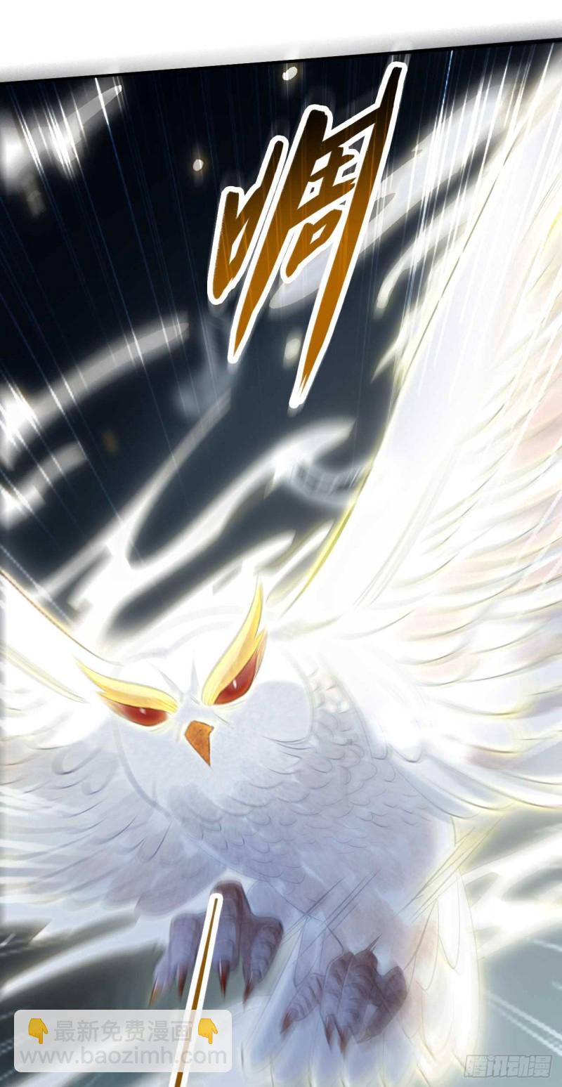 第46话 打上门来又如何-第46话