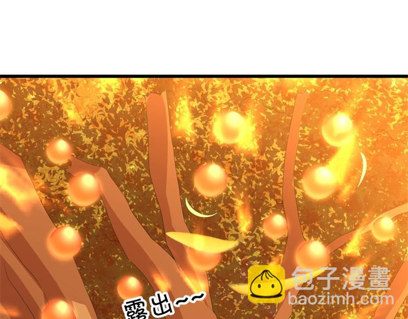 絕世戰魂 - 第707話 上命之樹(4/4) - 1