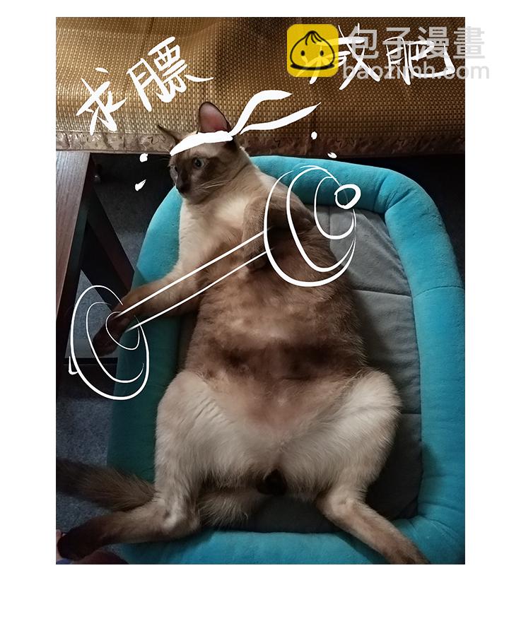 【第四章】118-第122话