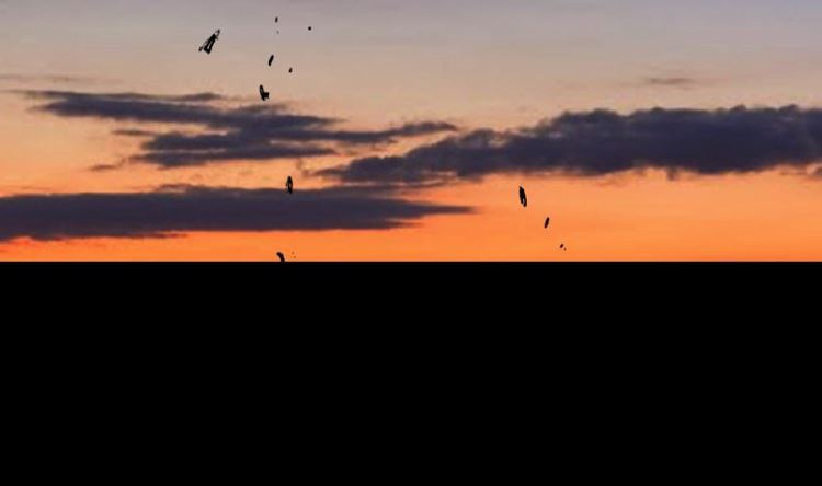 99话（下）(1/2)-第124话