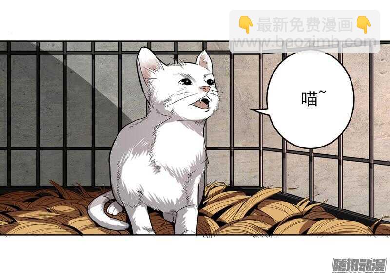 軍機令 - 第五令 虎緣之令 4 - 2