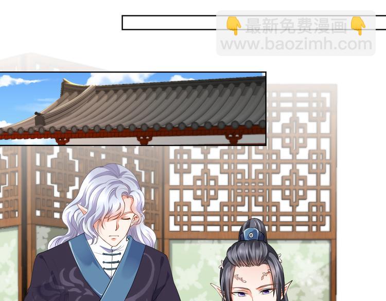 第12集(1/2)-第12话