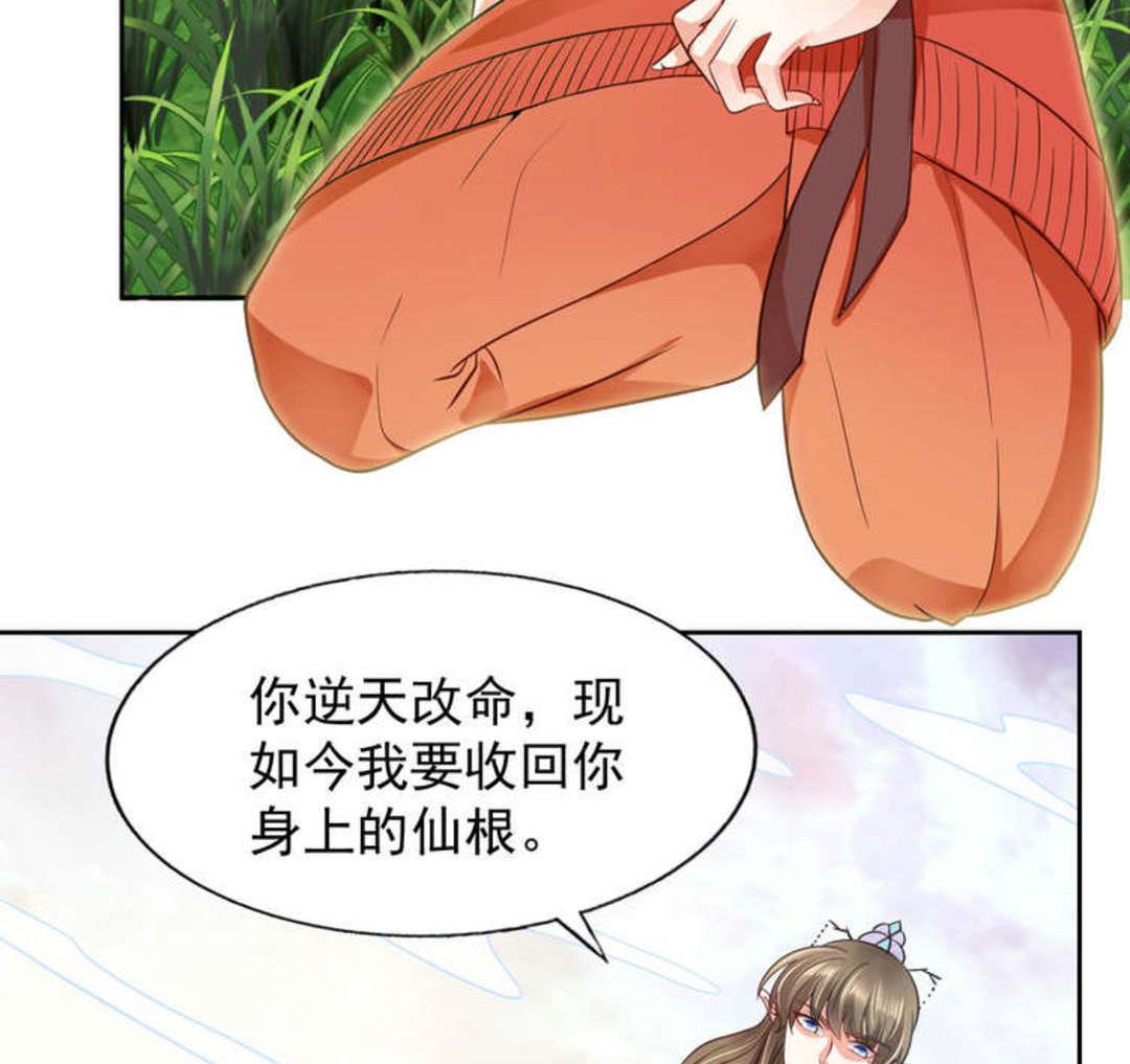 第46集(君临天下)(1/2)-第46话