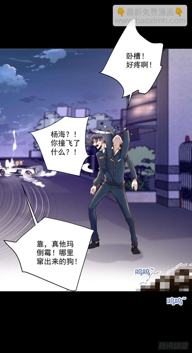 第1话 捡到一条土狗-第2话