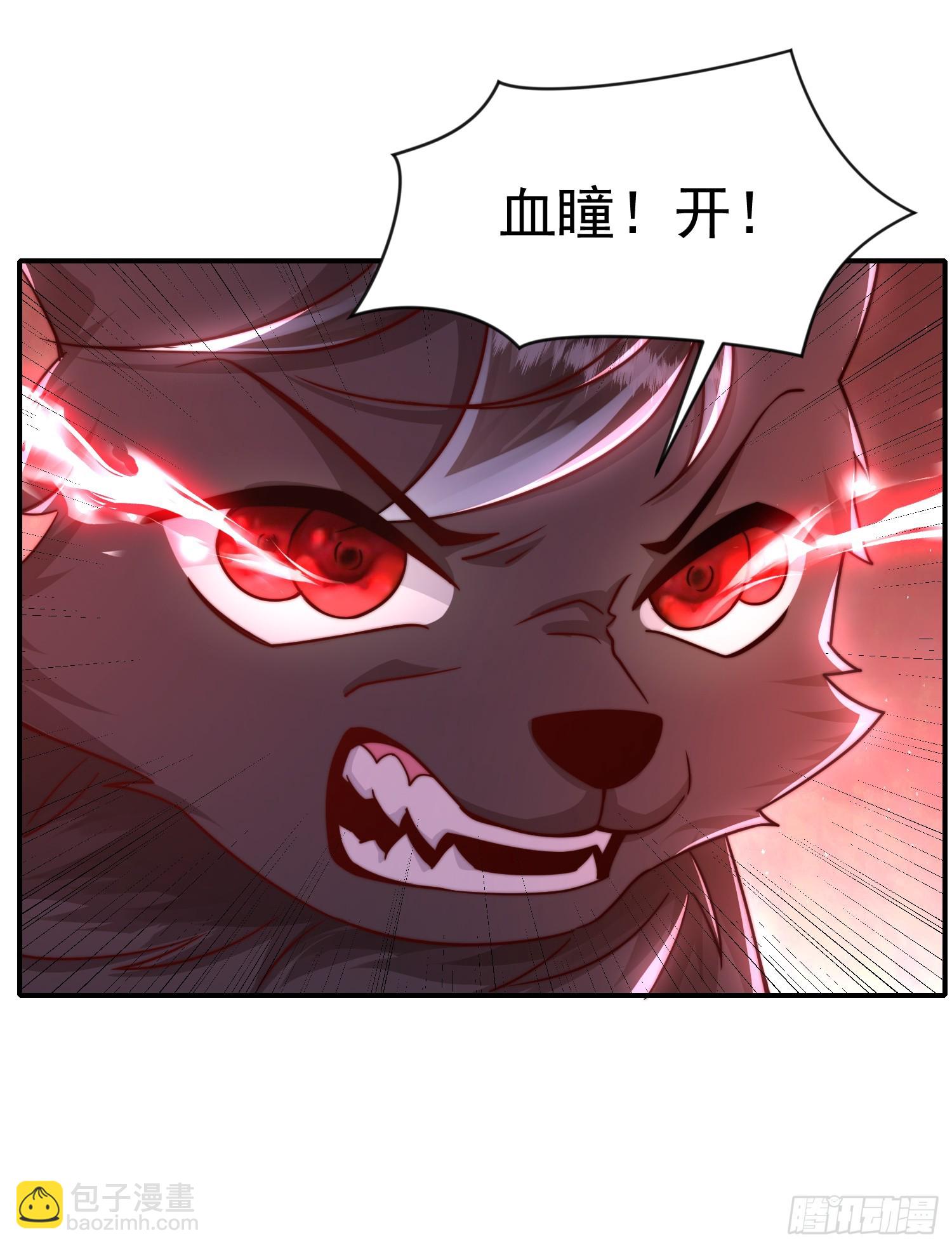 第19话 反派被变成了狗？(1/2)-第20话