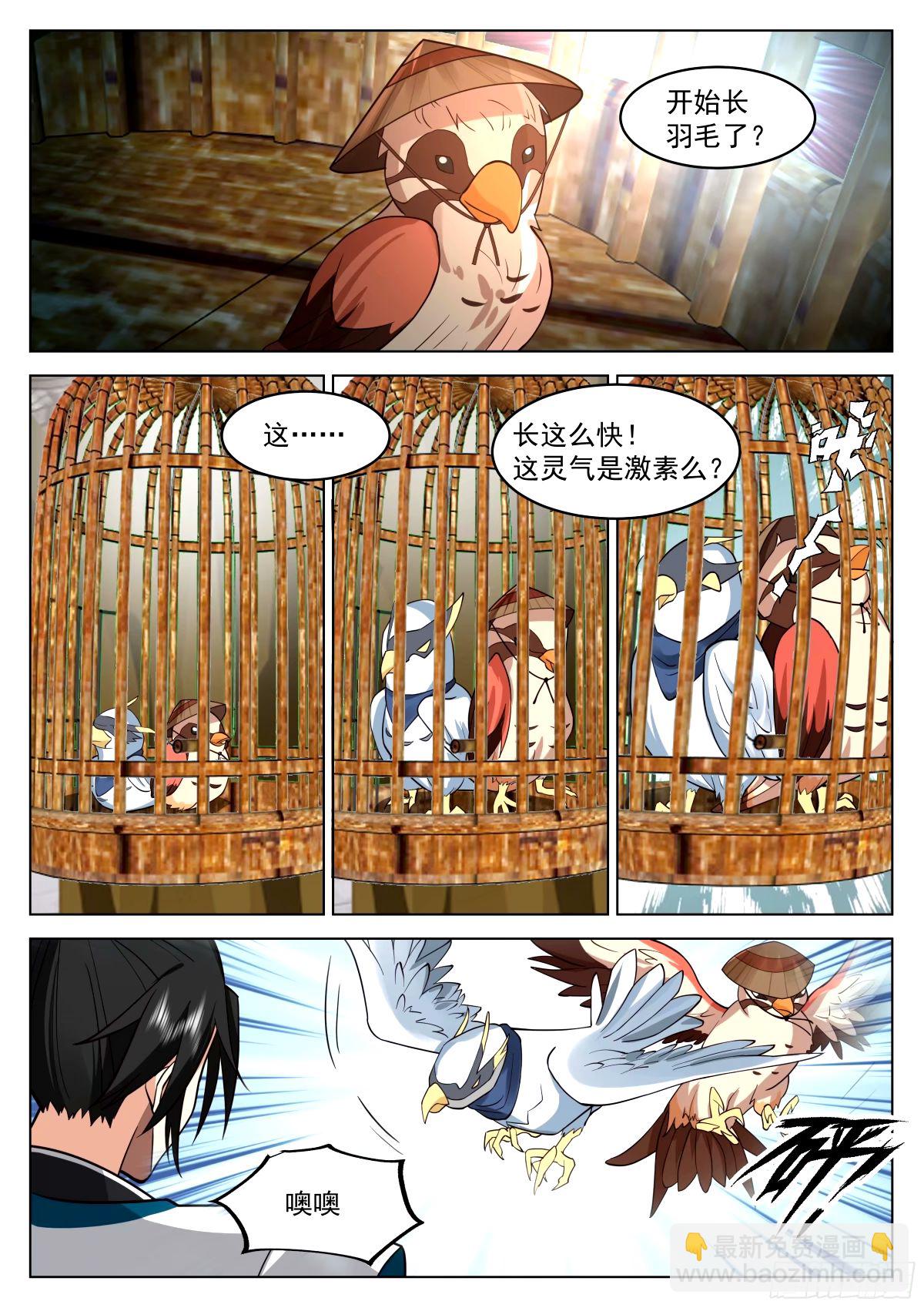 宠物店开张-第34话