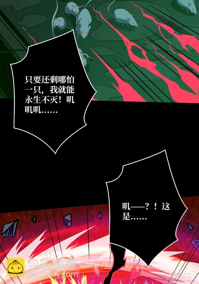 開局就有王者賬號 - 下水道的鼠鼠(2/2) - 5