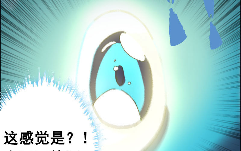 我卖了大王(1/5)-第2话