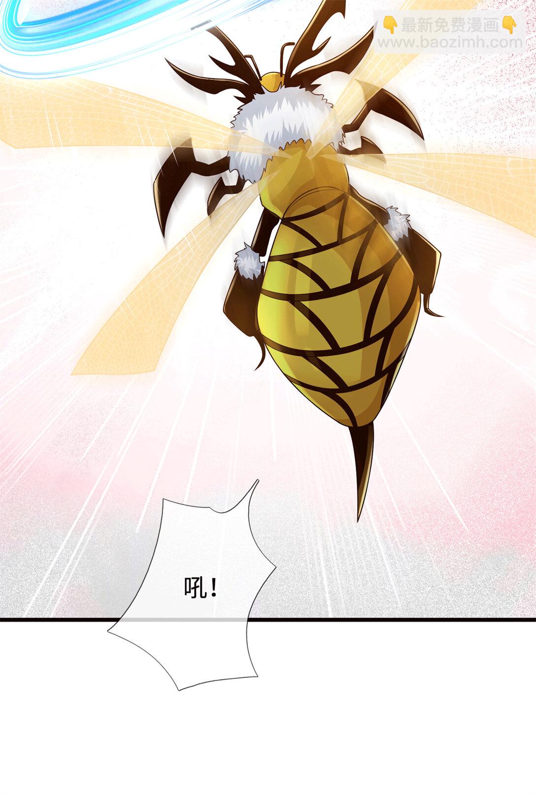 第221话 来吧开整(1/2)-第222话