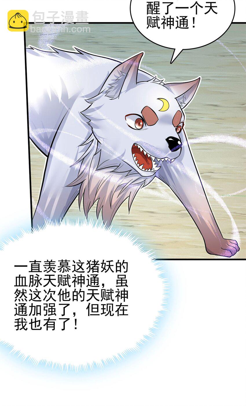 第41话 又是一波大丰收-第42话