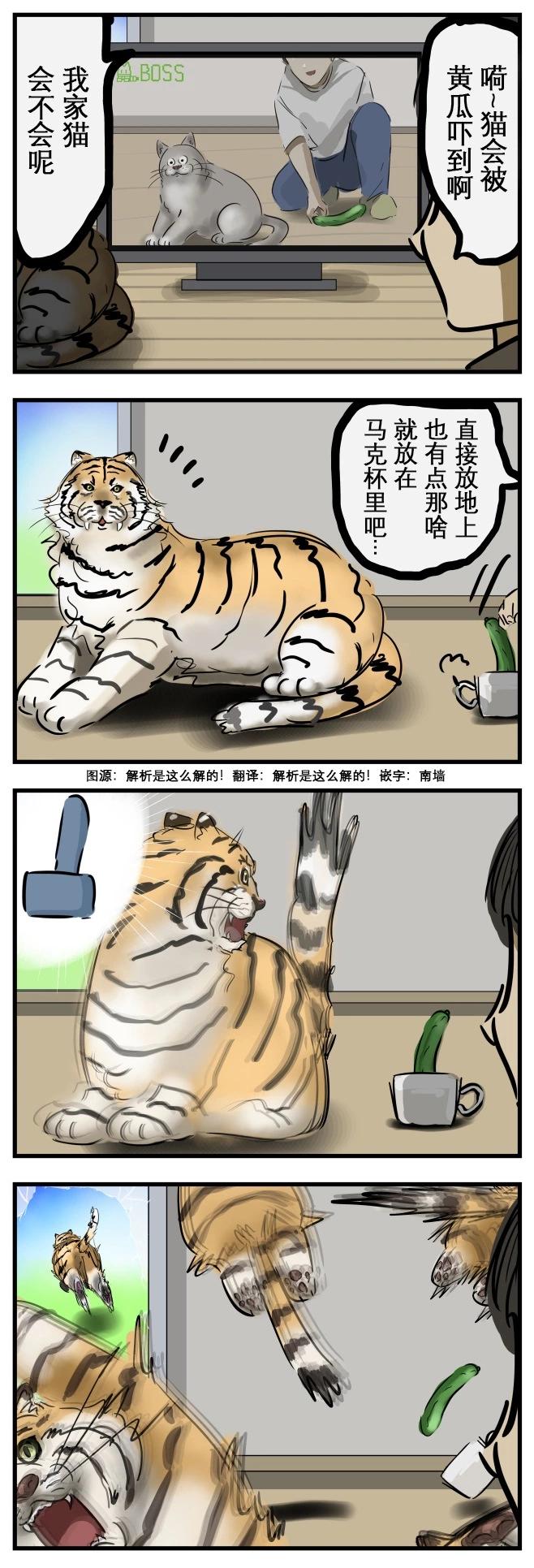 カコミスル老師四格合集 - 受驚的貓2 - 1