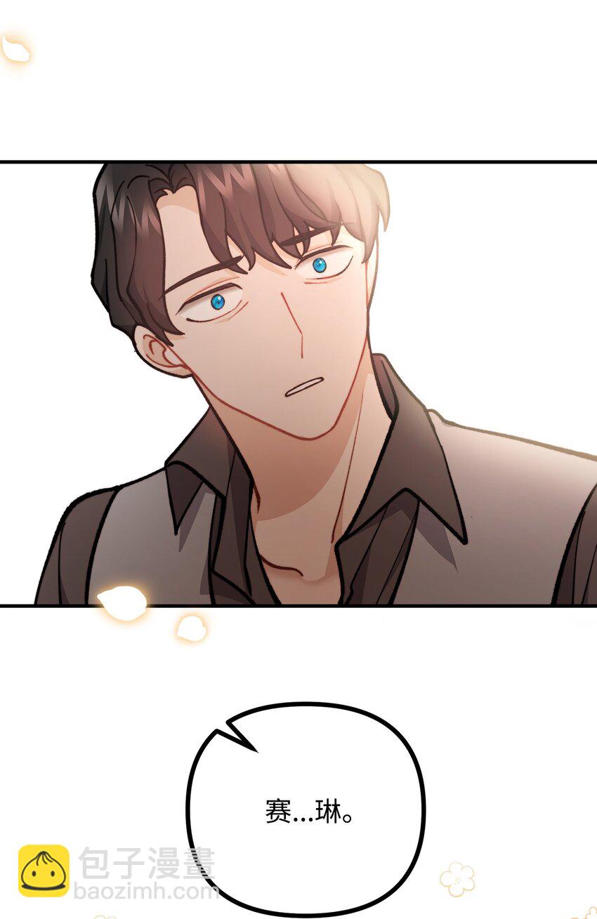 67 赛琳安息(1/2)-第68话