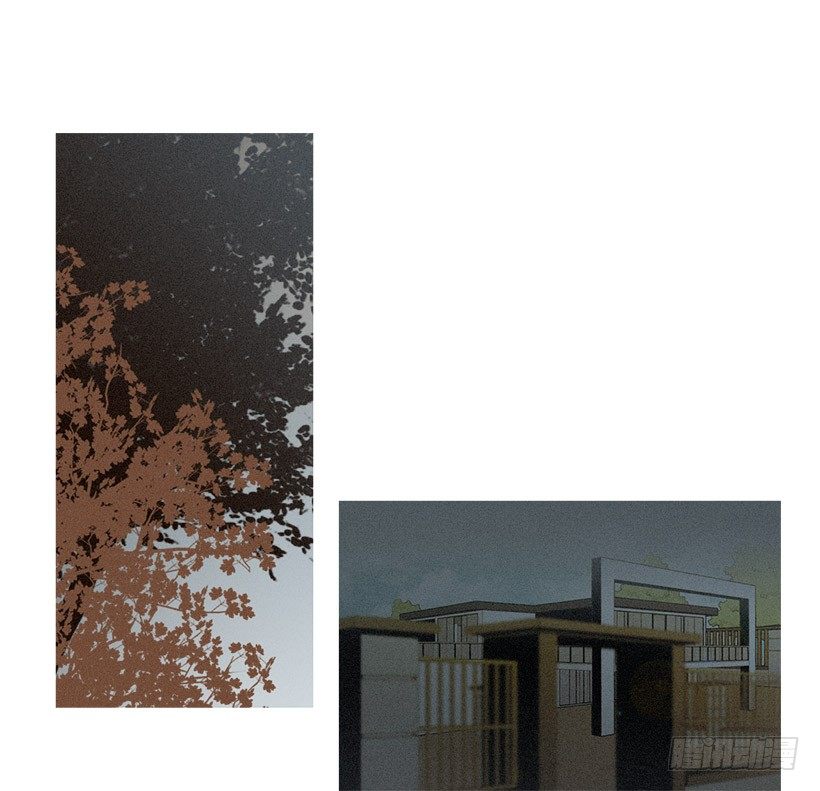 表白的回复-第62话