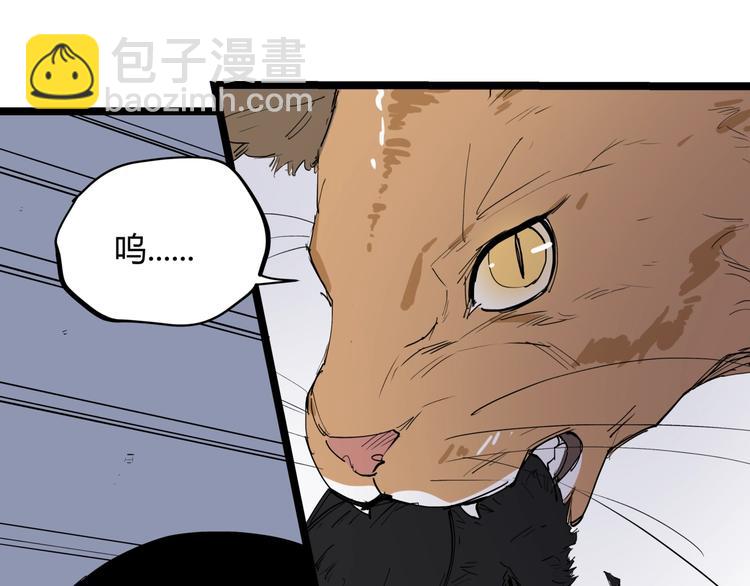 第21话 关键线索(1/2)-第22话