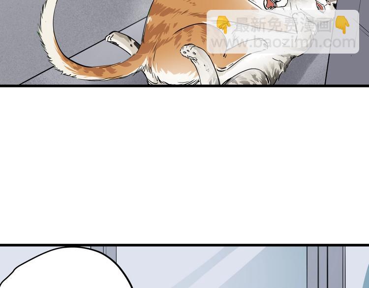 第32话  轻生女子(1/2)-第36话