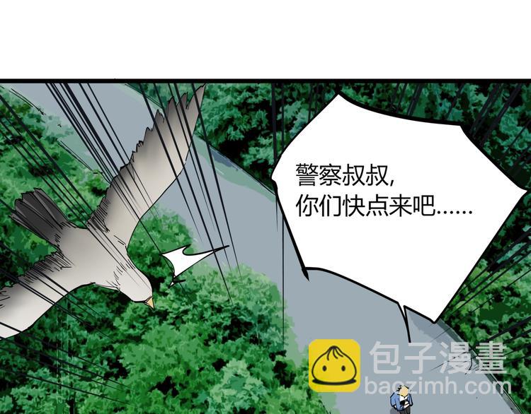 第10话 猫群之舞(1/2)-第10话