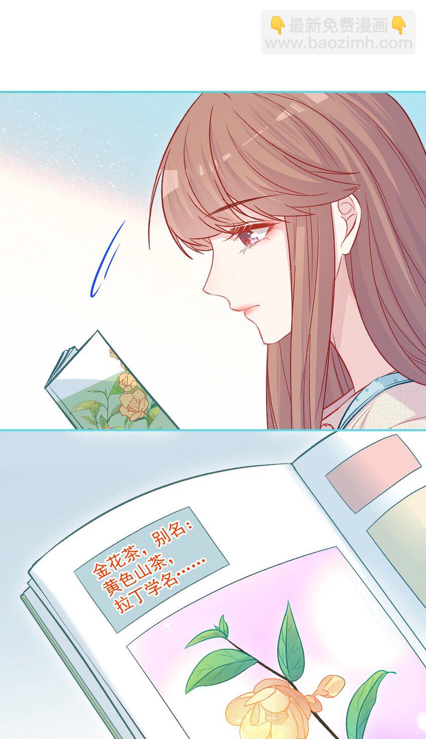 第16话 金花茶(1/2)-第16话