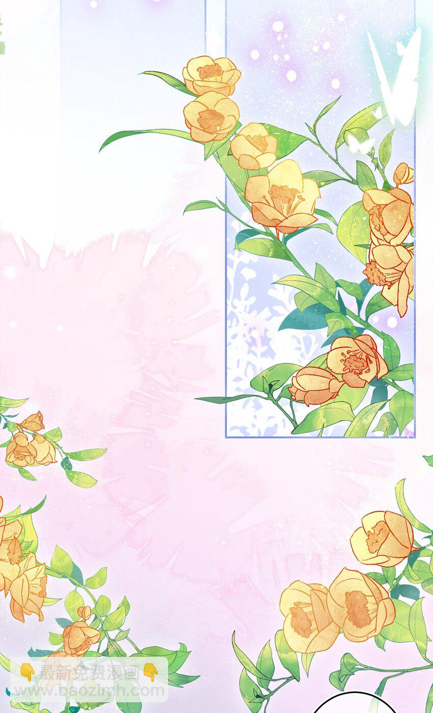 第16话 金花茶(1/2)-第16话