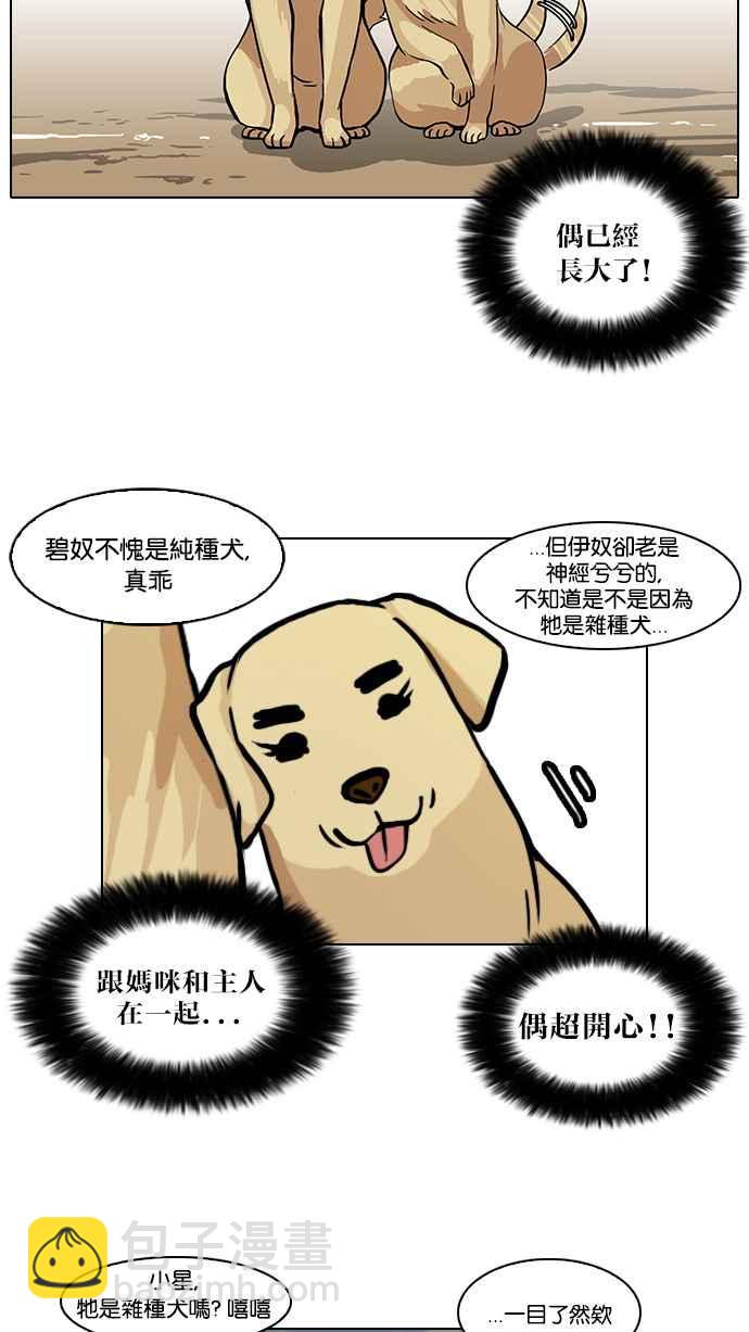 看臉時代 - [第58話] 流浪犬 - 伊奴（1）(1/2) - 6