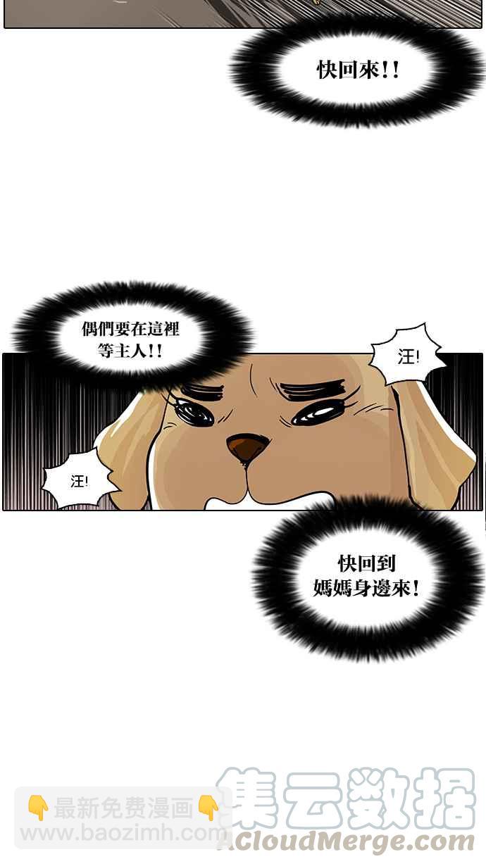 看臉時代 - [第62話] 流浪犬 - 伊奴（結尾）(1/2) - 5