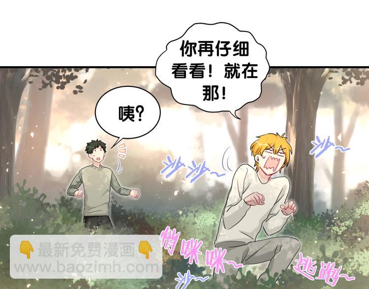 第31话 遇袭(1/2)-第36话