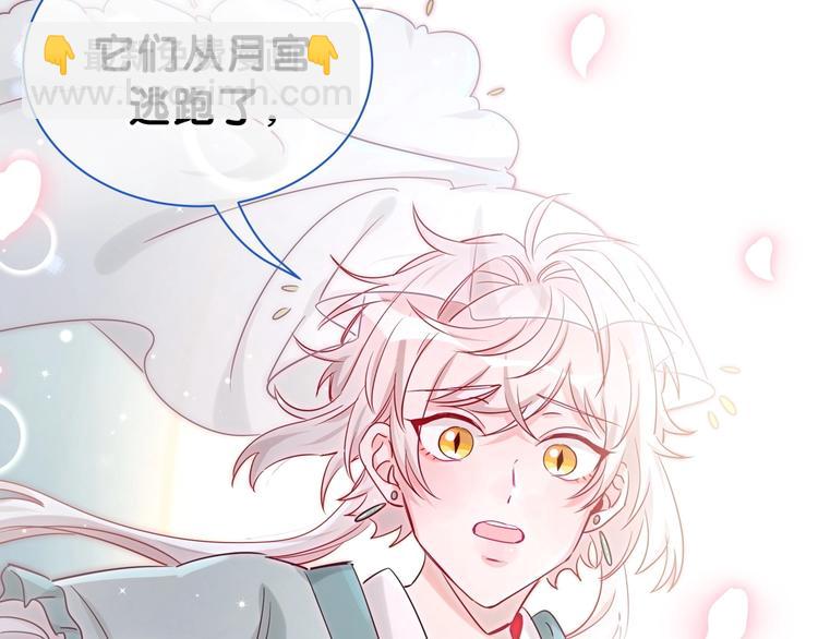 番外 你代替兔子吧~(1/2)-第10话