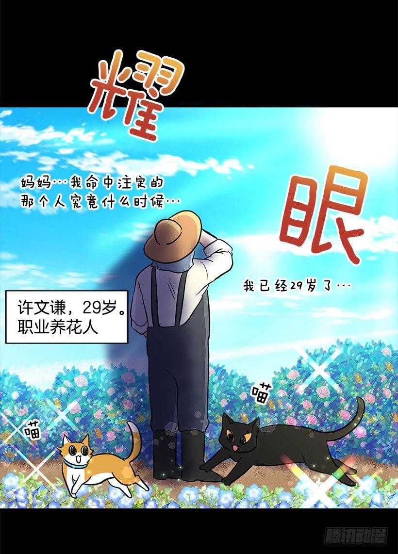 第41话 （上）-第82话