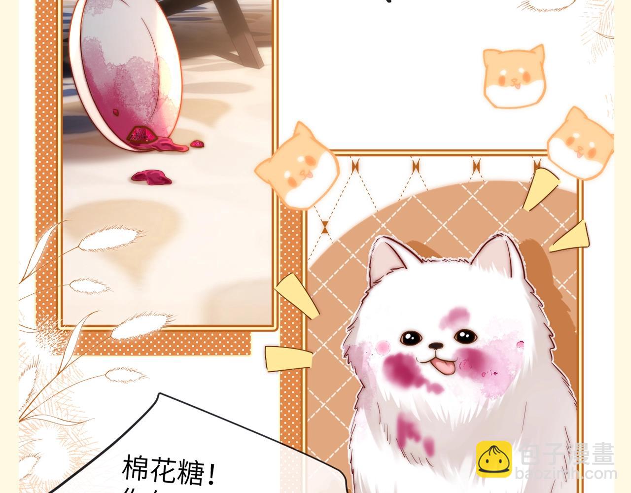 第82期 搞点事：乐乐的购物车里都有什么-第114话