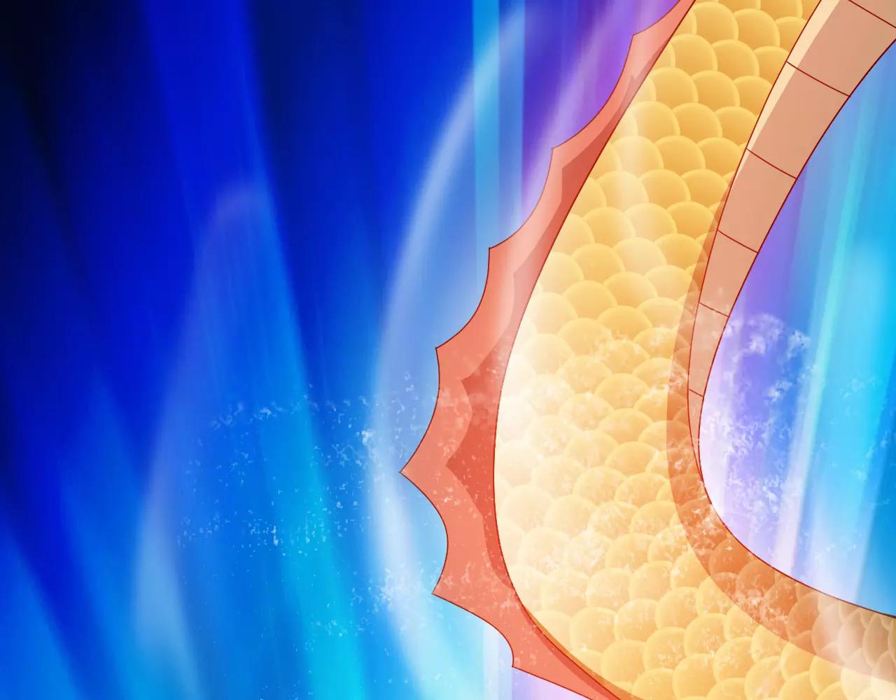 第24话 别伤我的身体呀(1/3)-第26话