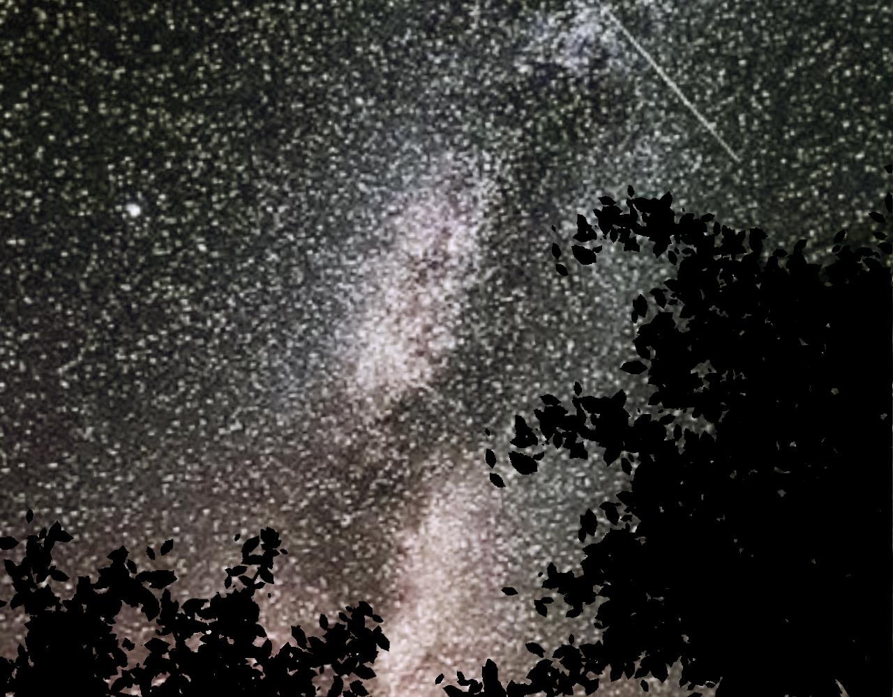 番外 仙界来历(1/2)-第28话