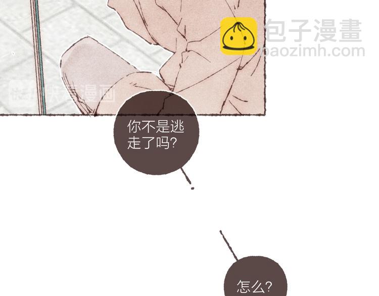 第19话 猫咪驾到(1/3)-第20话