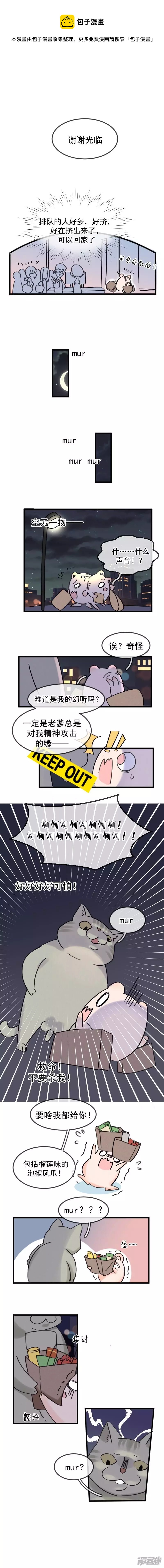 missing cat03-第30话