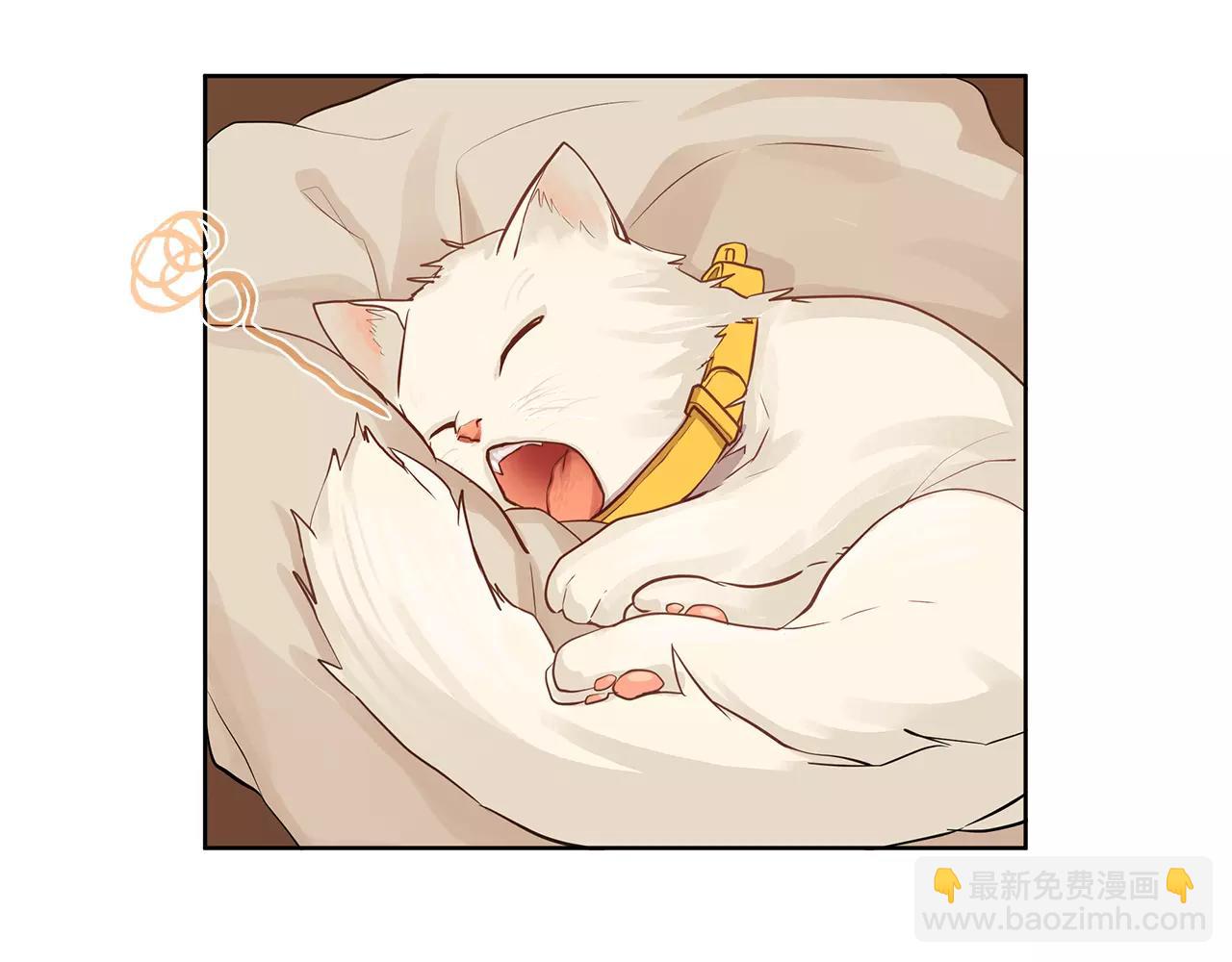 第15话 反击的武器(1/2)-第16话