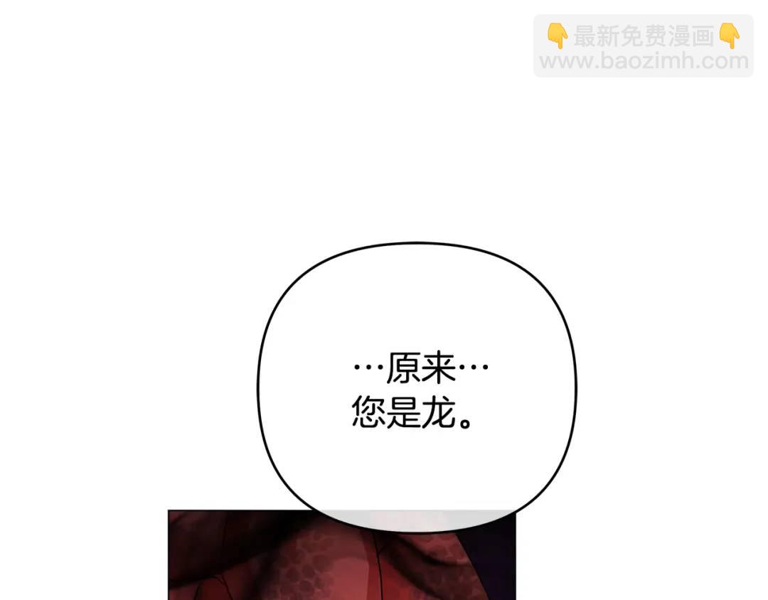 第38话 魔法到底是什么？(1/5)-第156话