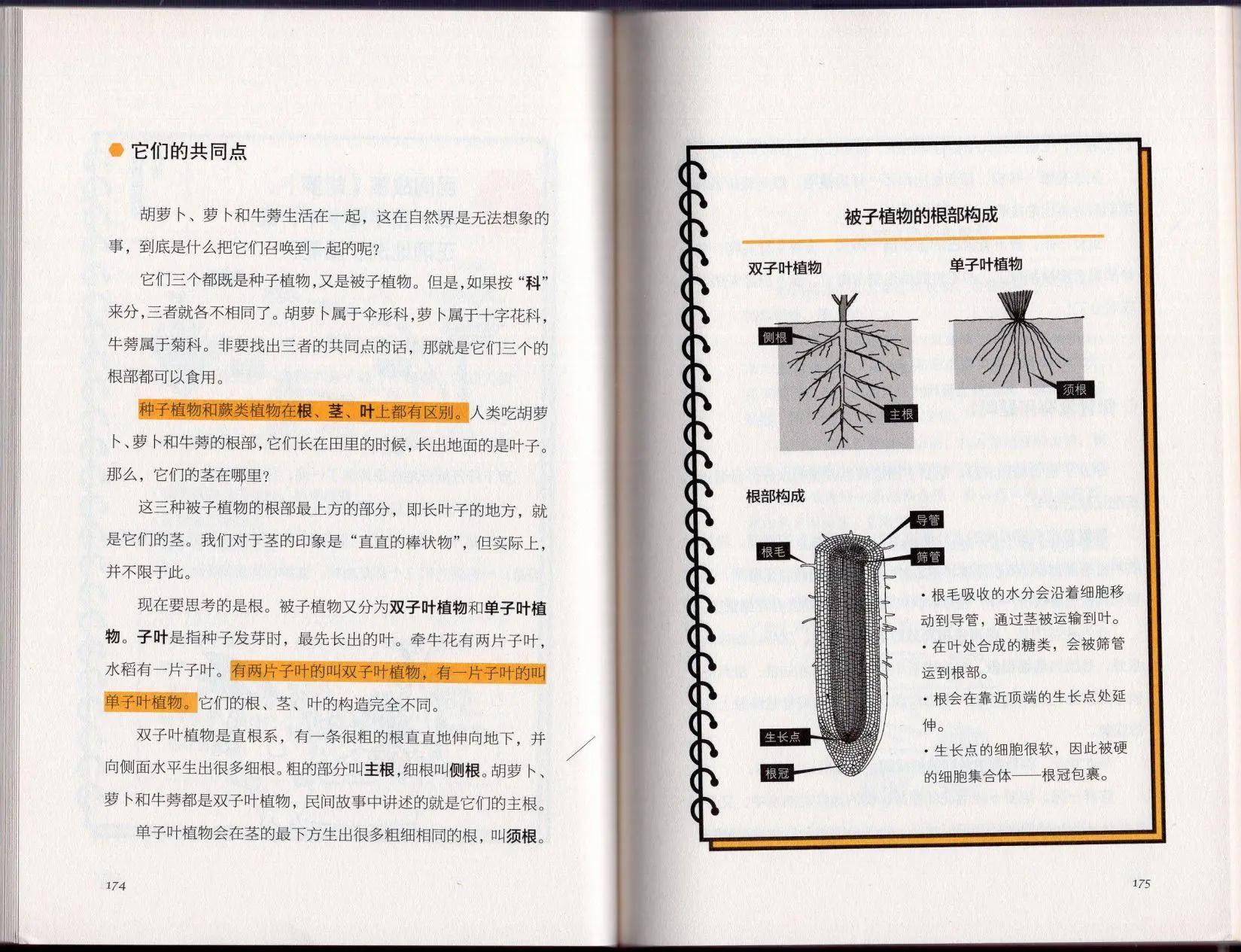 空想科學讀本 - 空想科學理科讀本(2/3) - 7