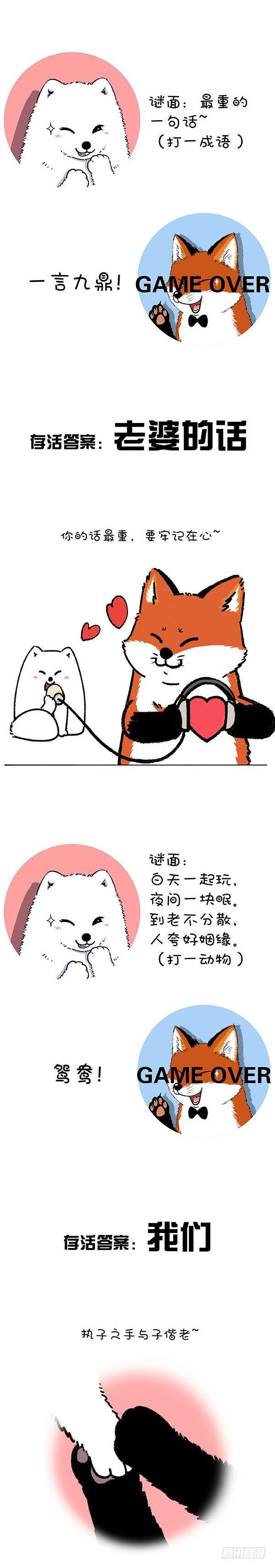 快把動物放進冰箱 - 211對元宵彩燈和燈謎的認知升級 - 2