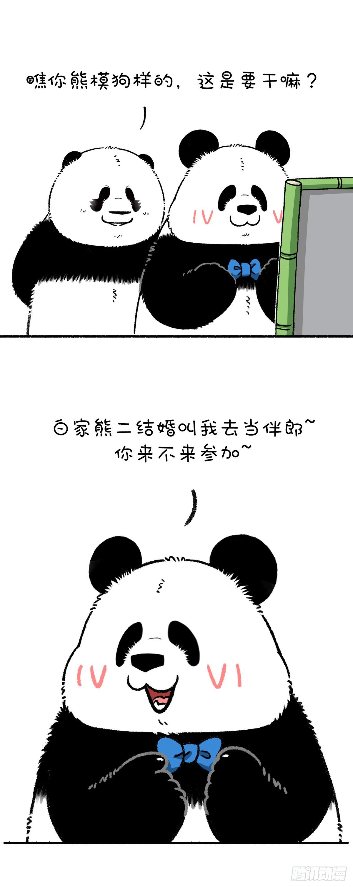 快把動物放進冰箱 - 這個假期早已被安排的明明白白 - 1