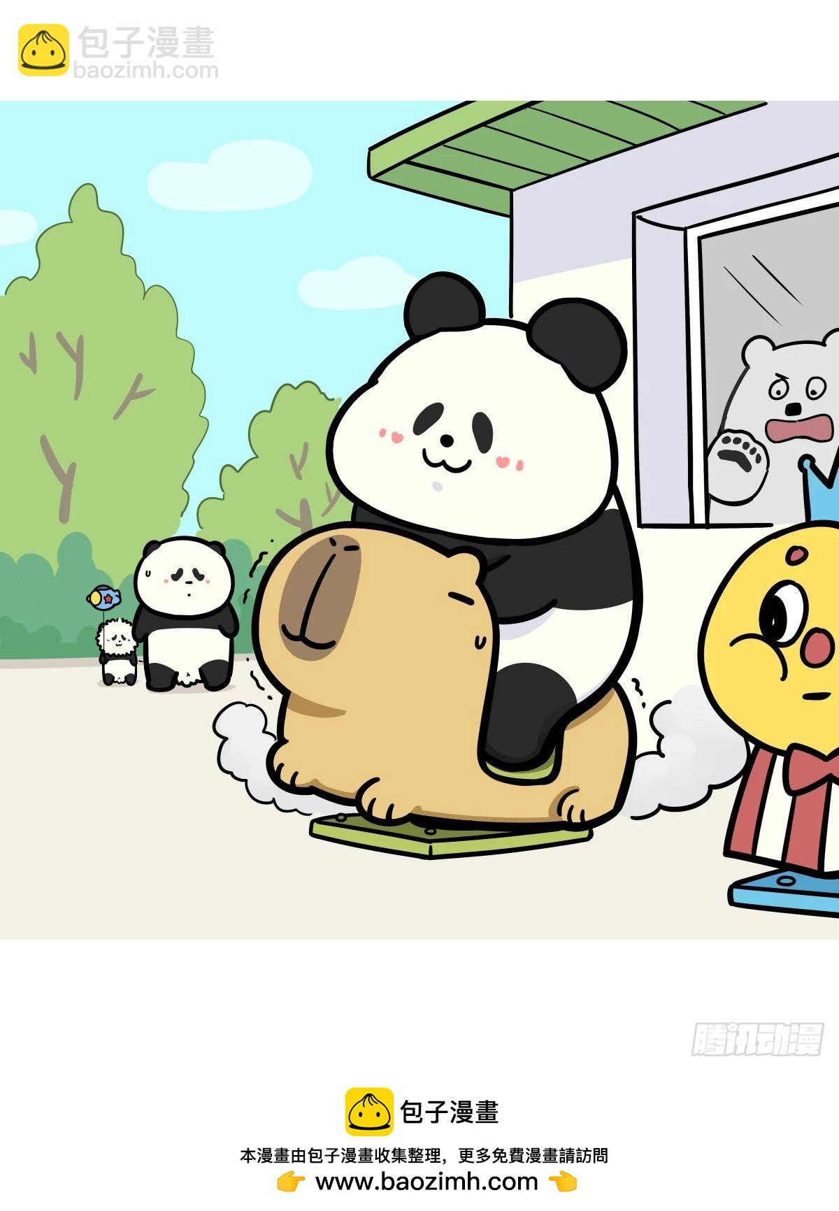 快把動物放進冰箱 - 端午的習俗VS本人的態度 - 1