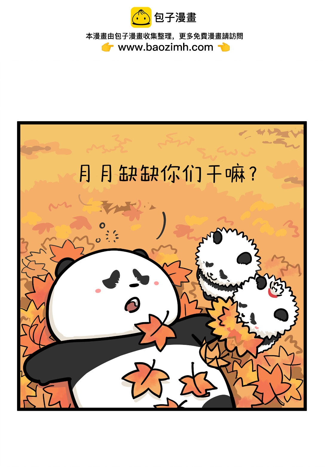 快把動物放進冰箱 - 一葉可知秋，多葉會障目~ - 2