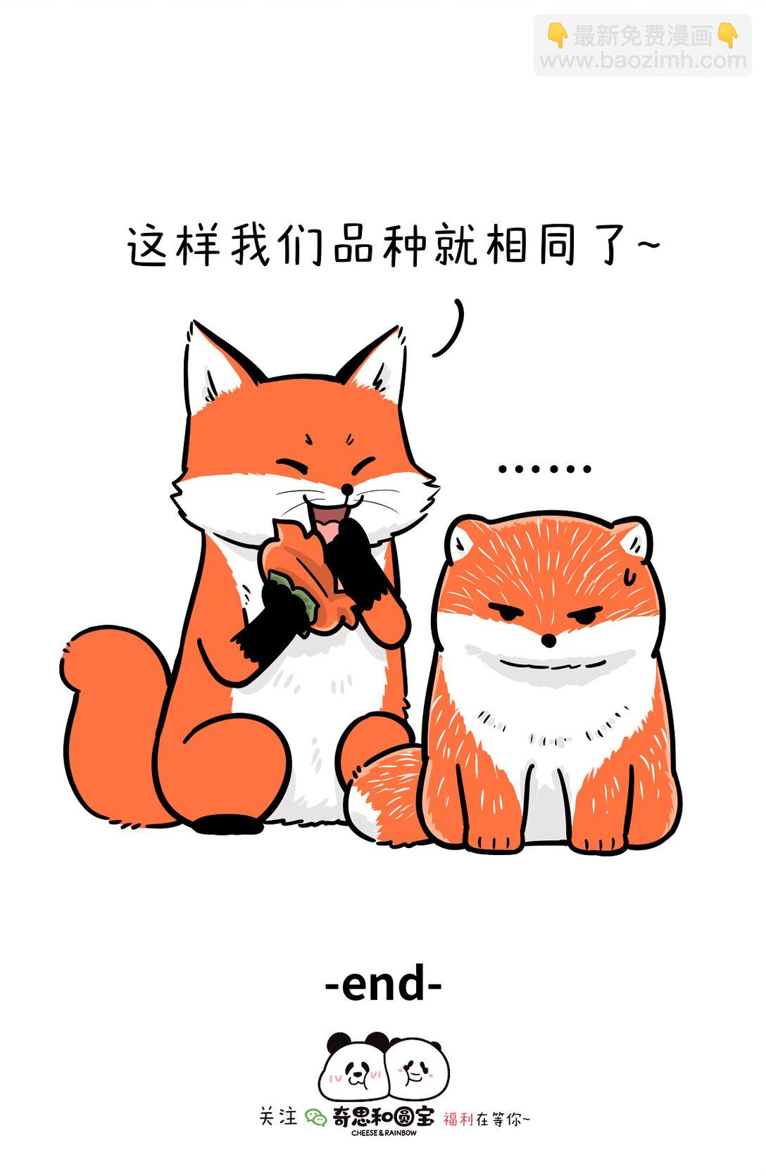 快把動物放進冰箱 - 462 霜降好柿墜，般配成絕配 - 1