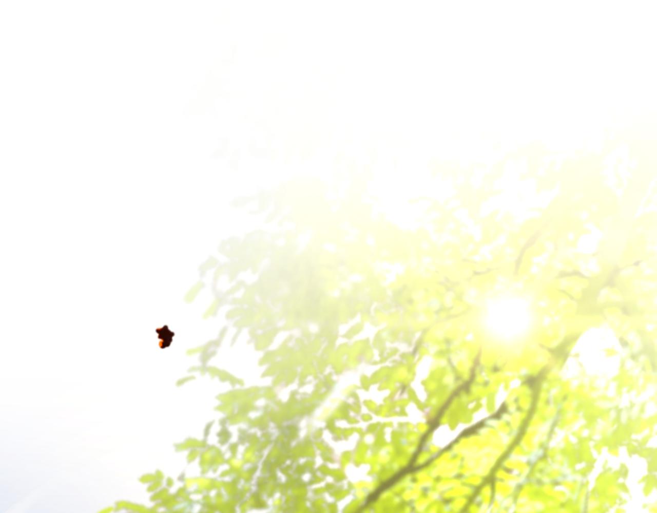 第41话  死里逃生(1/3)-第42话