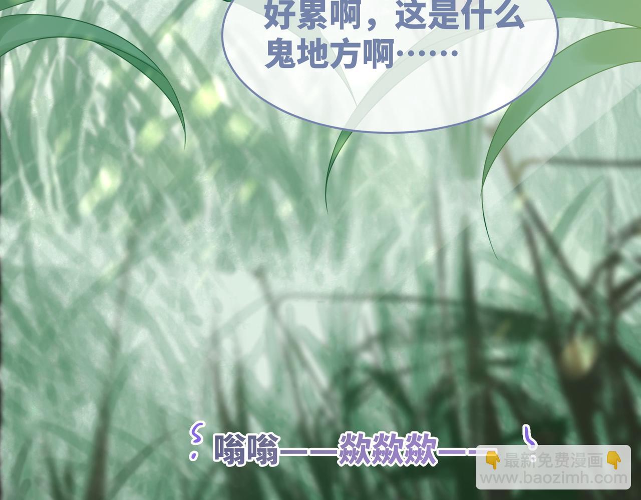 快穿女配冷靜點 - 第93話 野外生存直播(2/3) - 2